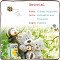 Peluche Abeille noires 17 cm - miniature variant 3