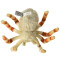 Peluche Araignée brun - blanc 24 cm - miniature variant 1