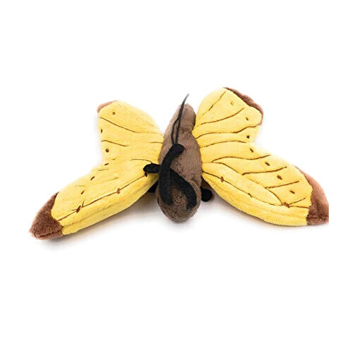 Peluche Papillon 23 cm