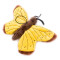 Peluche Papillon 23 cm - miniature variant 3
