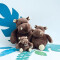 Peluche marron 14 cm - miniature variant 4